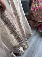 Champagne kameez and lengha