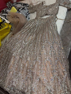 Champagne Silver Heavily Embellished Lehenga Set