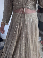 Gold emblished lengha