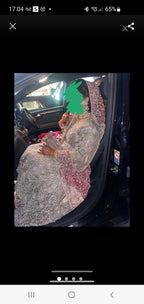 Stunning Bridal Lengha