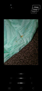 Womens asian outfit